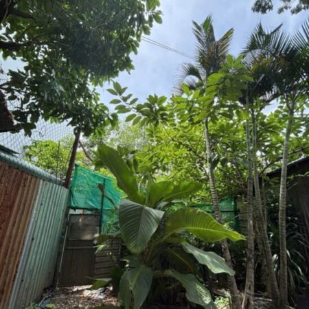 Đất Vuông đẹp HXH 110m2 – Nguyễn Văn Quá Q12