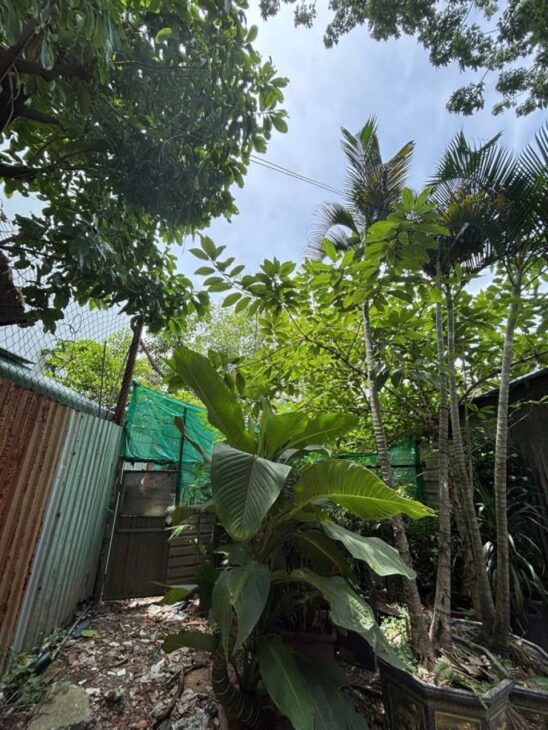 Đất Vuông đẹp HXH 110m2 – Nguyễn Văn Quá Q12