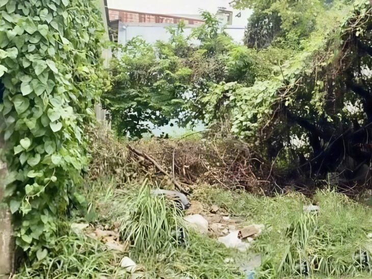 Đất Vuông HXH tránh 95m2 – An phú đông 3 Q12