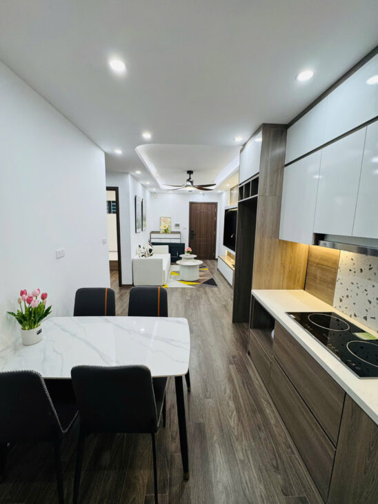 Bán căn hộ chung cư VP5 Linh Đàm, số đỏ 62m2, 2 ngủ full nội thất giá chỉ nhỉnh 4.1 tỷ