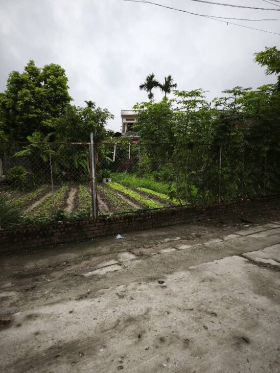 ĐẤT TRỤC CHÍNH DƯ XÁ – THUẬN THÀNH – MẶT ĐƯỜNG KINH DOANH – ĐẦU TƯ SINH LỜI CAO!