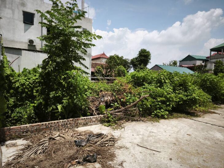 PHÂN KHÚC HIẾM – ĐẤT TRÍ QUẢ – Ô TÔ VÀO NHÀ – GẦN ĐẠI ĐÔ THỊ – SỔ ĐỎ CHÍNH CHỦ!