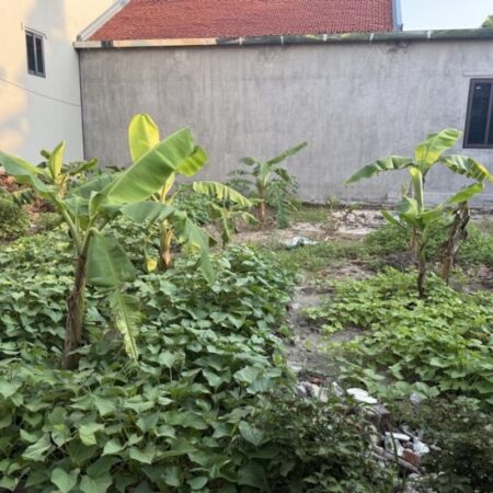 ĐẤT NỀN NINH XÁ – GẦN KCN THUẬN THÀNH – GIÁ ĐẦU TƯ CỰC TỐT – SINH LỜI CAO!