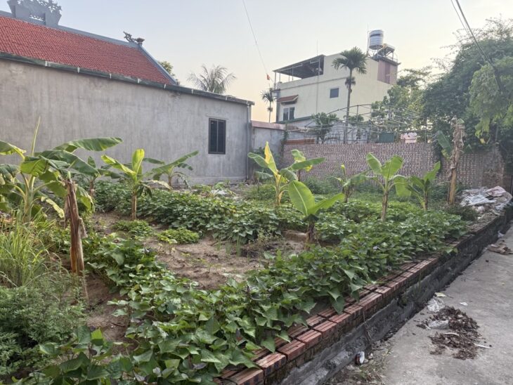 ĐẤT NỀN NINH XÁ – GẦN KCN THUẬN THÀNH – GIÁ ĐẦU TƯ CỰC TỐT – SINH LỜI CAO!