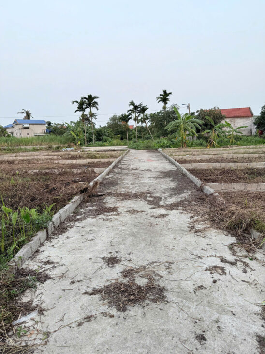 Bán đất tại TDP Bình Minh, phường Hợp Đức, quận Đồ Sơn, Hải Phòng.