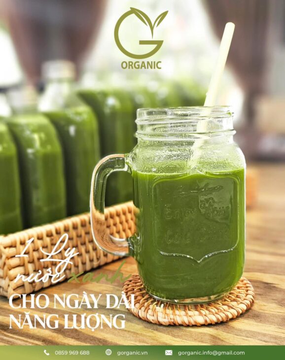 G. ORGANIC THỰC PHẨM KHÔNG CHỈ NUÔI THÂN – MÀ CÒN NUÔI CẢ TÂM & TRÍ