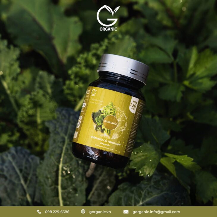 CHẤT XƠ VÀ VITAMIN – NHỮNG “KHOẢNG TRỐNG” TRONG BỮA ĂN HÀNG NGÀY