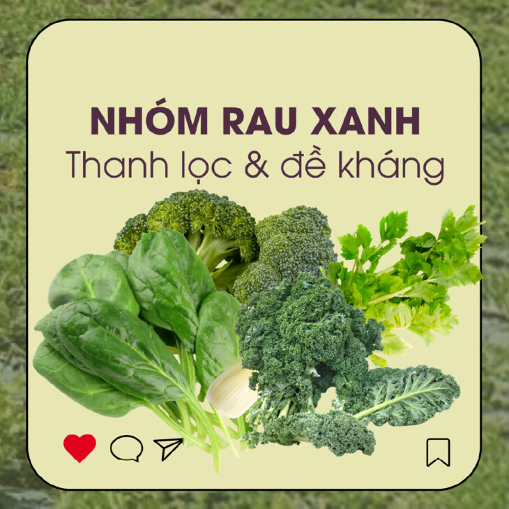 Bột rau củ G.Organic hỗ trợ cung cấp chất xơ