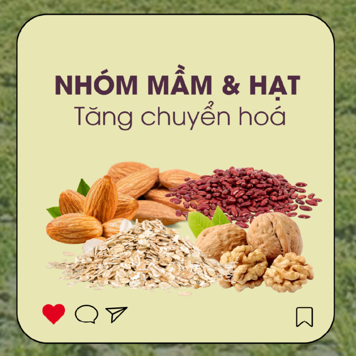 Bột rau củ G.Organic hỗ trợ cung cấp chất xơ