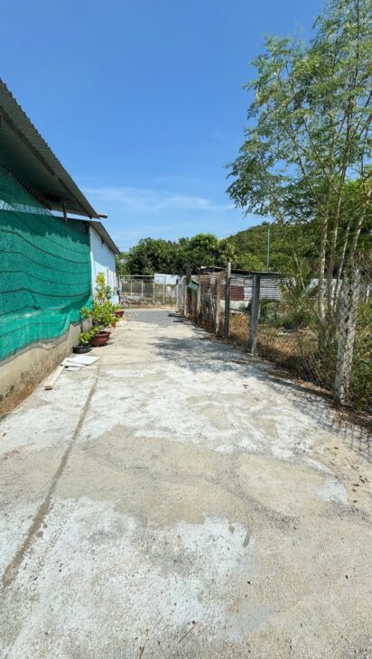 Bán lô đường tổ 4 diên lạc đường ô tô giá chỉ 820tr (tl)