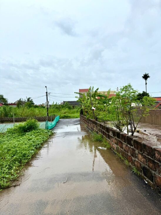 Bán đất Đoàn Xá, Kiến Thụy, Hải Phòng