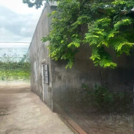 Chỉ Với 2.86 Tỷ – Sở Hữu Đất Vuông Đẹp Nguyễn Khoái, Sẵn Sàng Xây Nhà Mơ Ước