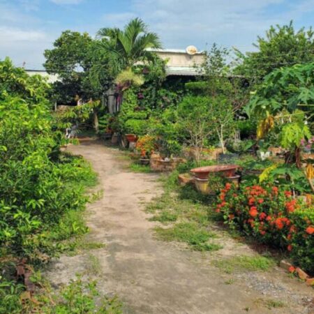 Đất Vườn HXT 722m2, Nở hậu – Xuân Thới Thượng 2 HM Đất Vườn HXT 722m2, Nở hậu – Xuân Thới Thượng 2 HM