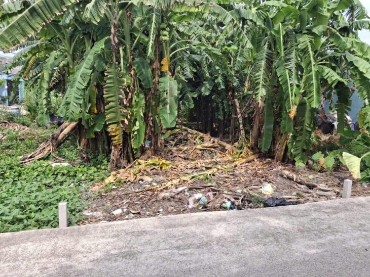 Rẻ! Đất HXT 137m2, Nở hậu – Xuân Thới Thượng 2 HM