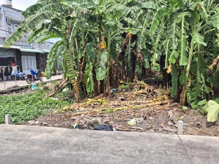 Rẻ! Đất HXT 137m2, Nở hậu – Xuân Thới Thượng 2 HM