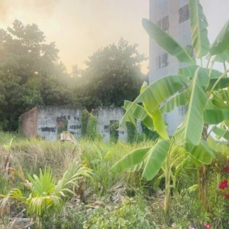 Đất Vuông đẹp Xe tải tránh 107m2 – Thanh Xuân 25 Q12