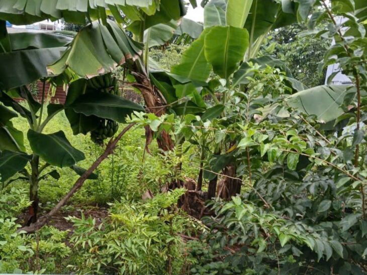 Giảm 50tr! Đất Vuông đẹp Hẻm Ôtô 89m2 – Thạnh Lộc 29 Q12