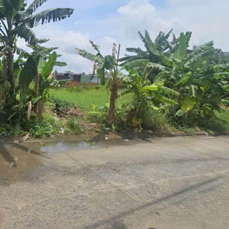 Đất Vuông đường xe tải 961m2 – Vườn Lài Q12