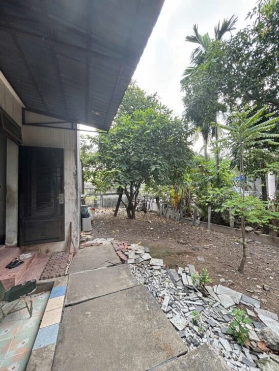Giảm 11 tỷ! 0.5Ha Đất Mặt tiền Quốc Lộ 1A – An Phú Đông Quận 12