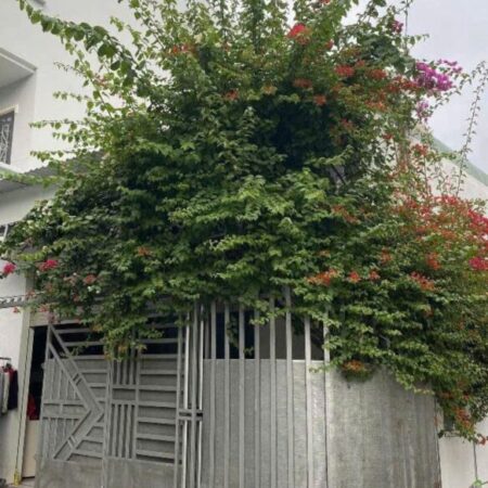 Giảm 200tr! Nhà 2 tầng Lô góc HXH 93m2 – Trương Thị Ngào Q12