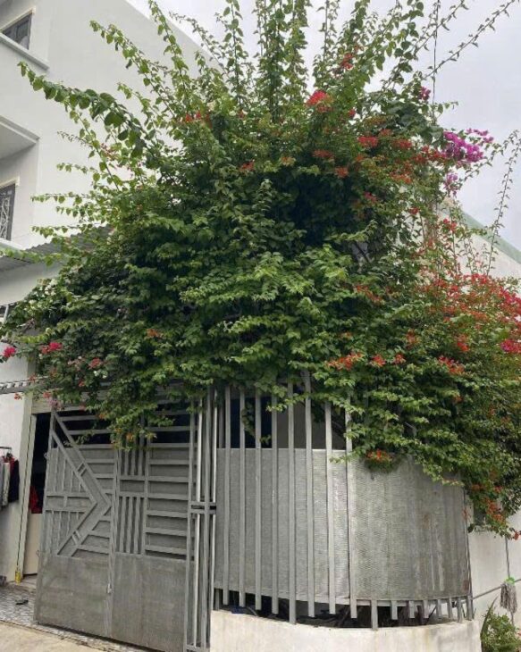 Giảm 200tr! Nhà 2 tầng Lô góc HXH 93m2 – Trương Thị Ngào Q12