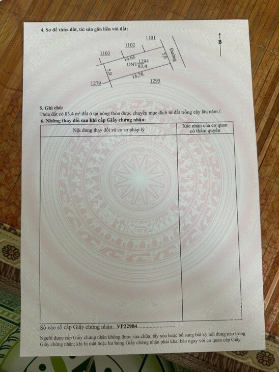 Đất nền Quất Lâm 2 tỷ – 100m2 gần khu biệt thự biển, yên tĩnh – Nguyễn Hùng BĐS – 0989333012