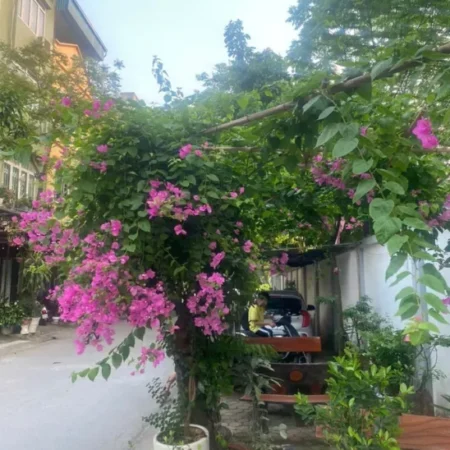 Bán nhà Kiến Hưng 45mx5 tầng Vỉa Hè, Phân Lô, Ô tô tránh, kinh doanh đỉnh 12.6 tỷ.