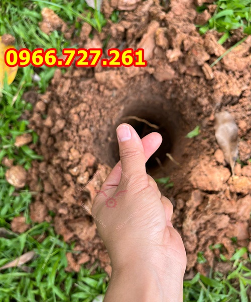 Máy Khoan Đất Có Bánh Xe – Đào Hố Trồng Cây Nhẹ Nhàng, Không Tốn Sức