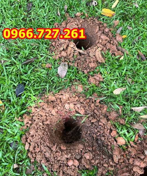 Máy Khoan Đất Có Bánh Xe – Đào Hố Trồng Cây Nhẹ Nhàng, Không Tốn Sức