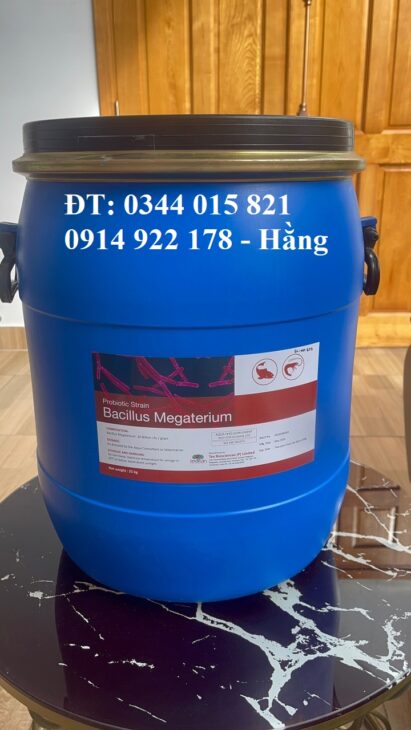 BacillusMegaterium, men vi sinh đường ruột cho thú y, thủy sản