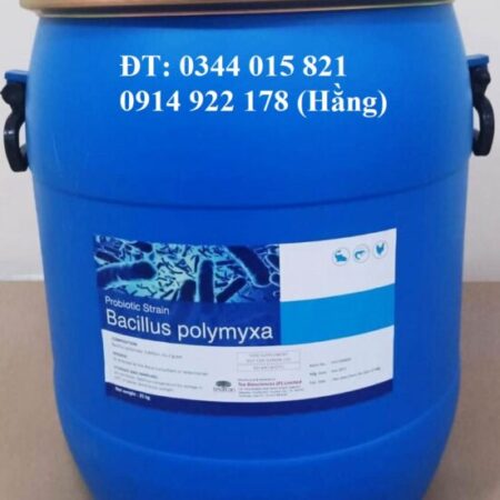 Bacillus Polymyxa, men vi sinh đường ruột cho vật nuôi