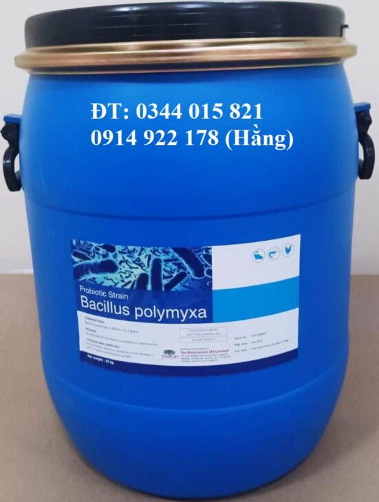 Bacillus Polymyxa, men vi sinh đường ruột cho vật nuôi