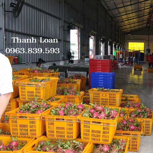 Sóng quai sắt đựng trái cây, sóng nhựa hở, sọt nhựa đựng hàng giá tốt / 0963 839 593