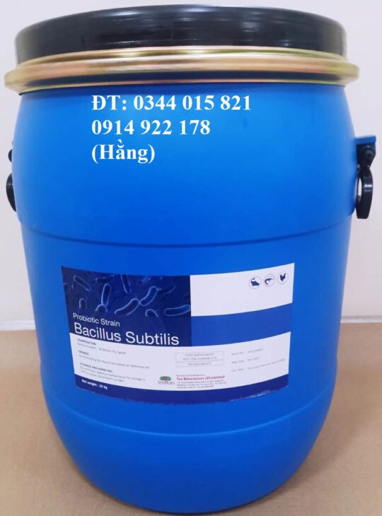 Bacillus Subtilis, men vi sinh đường ruột, bổ sung vào thức ăn vật nuôi