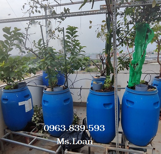 Thùng phuy nhựa 50lit đựng nước, hóa chất, thùng đựng rác 50L / 0963 839 593 Loan