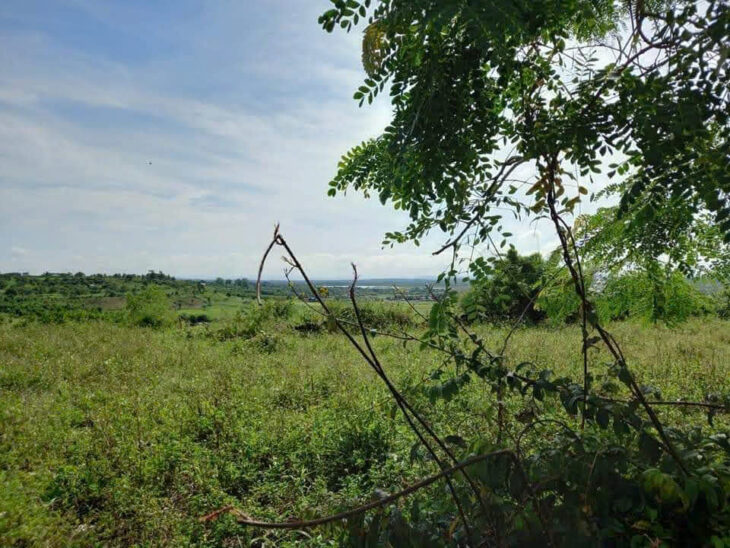 ĐẤT ĐẸP – GIÁ TỐT – Bán GẤP Lô Đất Tiềm Năng Tại Xã Đăk Đrông, Cư Jút, Đắk Nông