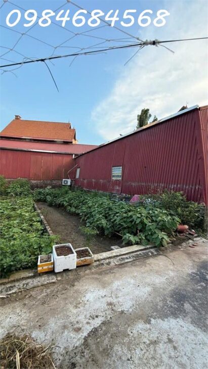 *** MẢNH ĐẤT ĐẸP NGỌC ĐỘNG – GIA LÂM *VUÔNG VẮN-THOÁNG SÁNG-AN SINH ĐỈNH. *Diện tích: 48 m²