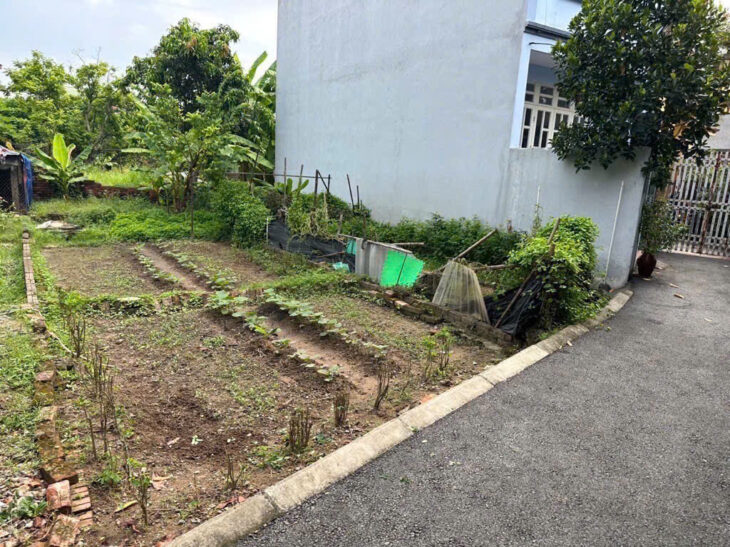 >BÙM BÙM BÙM *SIÊU ĐẸP ĐẤT GIA LÂM – Ô TÔ GẦN ĐẤT – HÀNG XÓM VINOCEAN PARK – GIÁ TRỊ GIA TĂNG