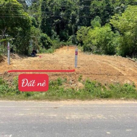 Bán GẤP Lô Đất Tiềm Năng Tại mặt tiền đường đi khu du lịch YangBay,Xã Khánh Phú Khánh Vĩnh, KH