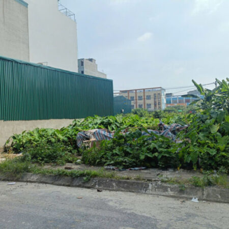 ĐẤT D.VỤ 5,5HA TRẠM TRÔI 140M, VỈA HÈ, 2 ÔTÔ TRÁNH GIÁ 133 Tr/m2 ĐẤT D.VỤ 5,5HA TRẠM TRÔI 140M, VỈA HÈ, 2 ÔTÔ TRÁNH GIÁ 133 Tr/m2