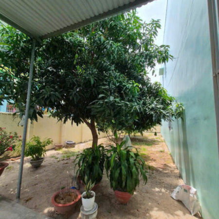 BÁN 02 LÔ ĐẤT TÂN PHƯỚC, PHƯỚC LONG, NHA TRANG