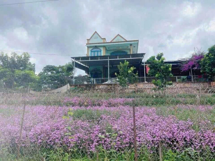 BÁN ĐẤT CAM LY ĐÀ LẠT – 8010M2, 338M2 THỔ CƯ, QUY HOẠCH FULL THỔ, GẦN CÁC ĐIỂM DU LỊCH