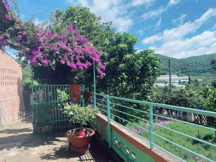 BÁN ĐẤT CAM LY ĐÀ LẠT – 8010M2, 338M2 THỔ CƯ, QUY HOẠCH FULL THỔ, GẦN CÁC ĐIỂM DU LỊCH