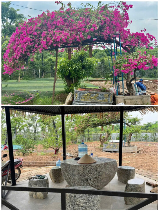 GIÁ TỐT – CHÍNH CHỦ CẦN CHUYỂN NHƯỢNG MẢNH ĐẤT TÂM HUYẾT Ở BÃI NON, XÃ VĨNH NGỌC, HUYỆN ĐÔNG ANH ĐÃ