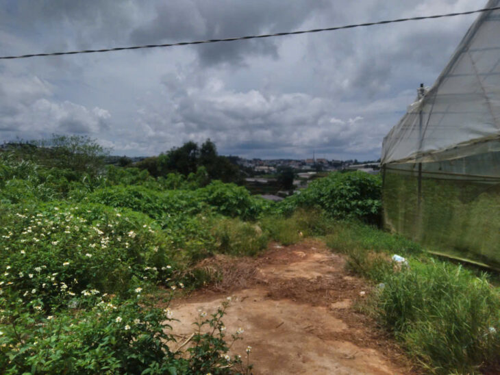 Bán đất nn vạn thành đà lạt hơn nửa sào giá 10tr/m2