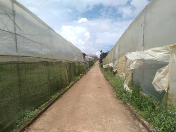 Bán đất nn vạn thành đà lạt hơn nửa sào giá 10tr/m2