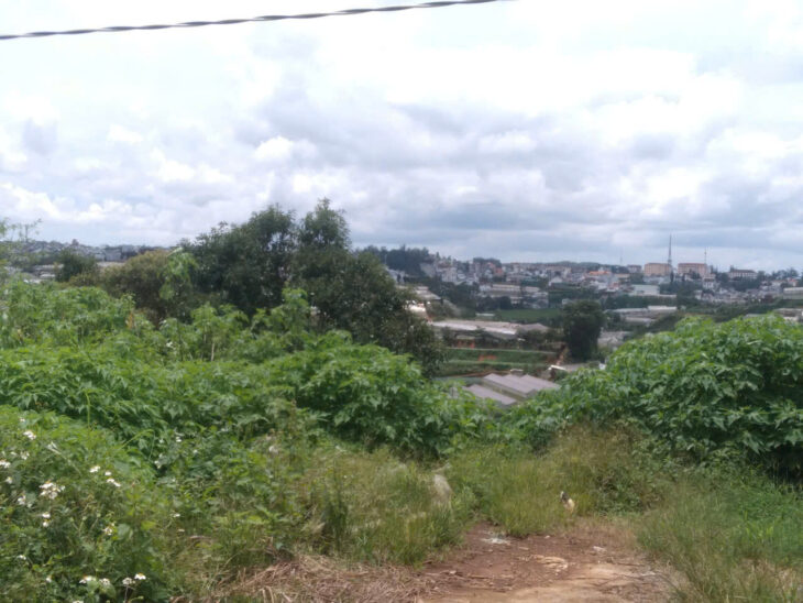 Bán đất nn vạn thành đà lạt hơn nửa sào giá 10tr/m2