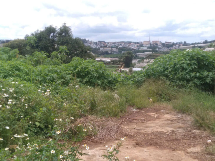 Bán đất nn vạn thành đà lạt hơn nửa sào giá 10tr/m2