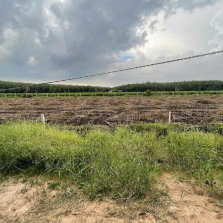 ĐẤT ĐẸP – GIÁ TỐT – Bán GẤP 5 Lô Đất Tiềm Năng Tại Ấp Long Cường, Xã Long Thuận, Tây Ninh ĐẤT ĐẸP – GIÁ TỐT – Bán GẤP 5 Lô Đất Tiềm Năng Tại Ấp Long Cường, Xã Long Thuận, Tây Ninh