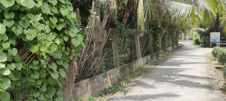 ĐẤT ĐẸP – GIÁ TỐT – Bán GẤP Lô Đất Tiềm Năng Tại Xã Long An, Châu Thành, Tiền Giang